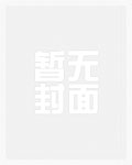 画壁(H)